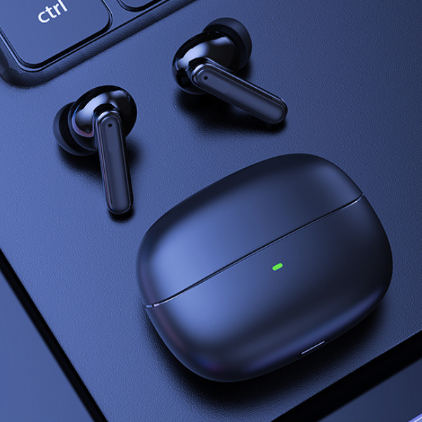Boudio Vital Earbuds